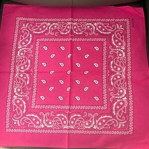 Pink & White Paisley Bandana